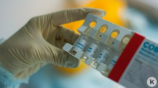 Где привиться от гриппа в Калининграде: адреса, график и документы  