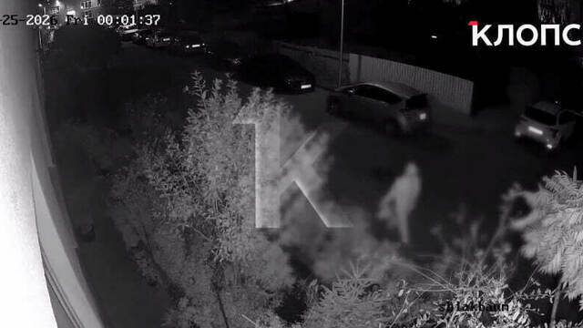 В Калининграде ночная воришка нагло оборвала в чужом дворе клумбы с роскошными розами и гортензиями (видео)  
