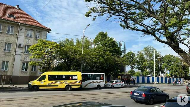 В Калининграде предложили ещё один вариант изменения Черняховского ради развития трамвая (схемы)