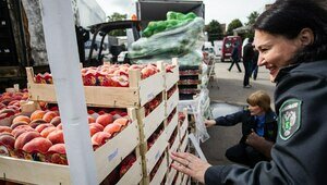 В Калининградскую область пытались ввезти более 30 тонн персиков и нектаринов с гнилью из Турции  