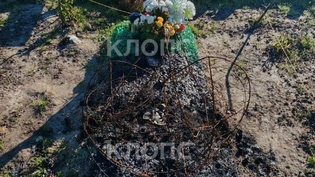 Огонь на могиле: на муниципальном кладбище под Калининградом произошла череда странных событий   