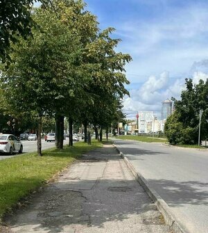 Дятлова объяснила, почему тротуары на Московском проспекте ремонтируют кусками
