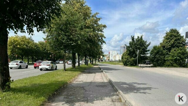 Дятлова объяснила, почему тротуары на Московском проспекте ремонтируют кусками