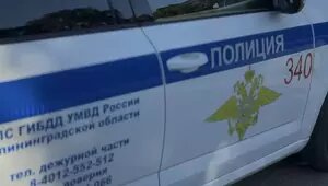 В Калининграде пьяного водителя силком вытащили из автомобиля, он получил 6 суток ареста за сопротивление  