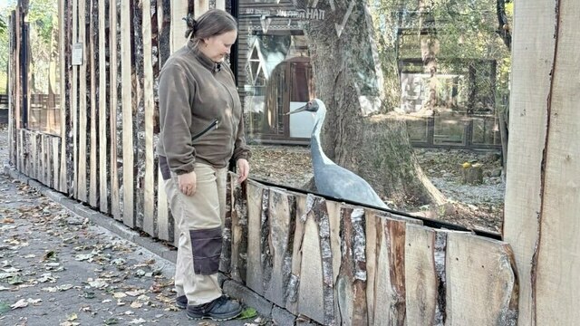 Поближе к Рыже: в зоопарке Калининграда журавли переехали в утеплённый павильон с панорамными стёклами (фото, видео)