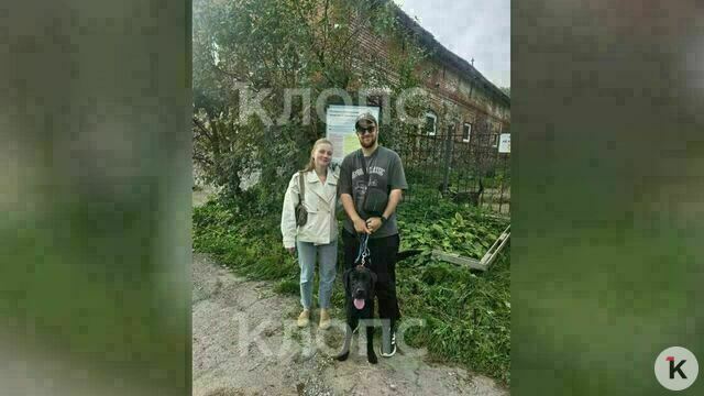 Горемыка-лабрадор, которого калининградка приняла за своего сбежавшего пса, спустя месяц переехал из приюта в семью   