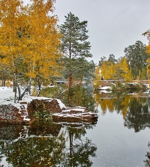 Осень золотая, а снимки серые: калининградский фотограф дал 3 совета, которые помогут запечатлеть всю красоту