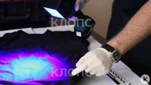 Сняли дом и гуляли компанией: двое жителей Калининградской области арестованы за групповое изнасилование 18-летней девушки   