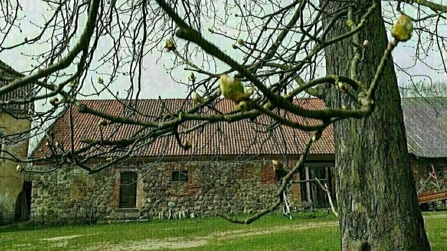Туристы, рыцари и спасение руин: в Черняховске состоится открытая встреча с представителями 10 старинных замков