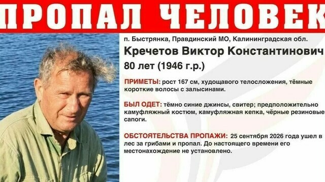 Пропавшего под Правдинском грибника не могут найти уже больше недели