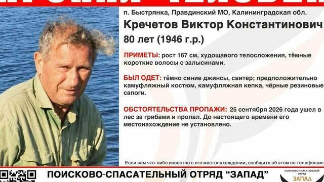 Опасные болота и ни одной зацепки: в лесу под Правдинском продолжают искать 80-летнего грибника    