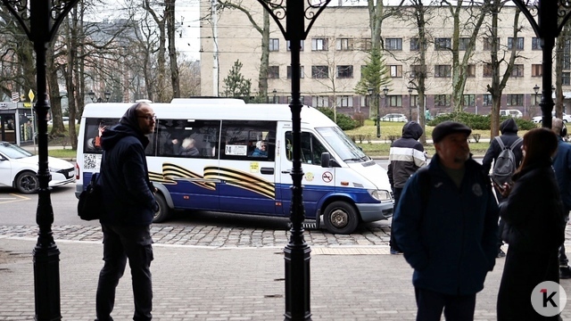 Почти треть остановок Калининграда остаются без павильонов: как город будет обновлять инфраструктуру (инфографика)