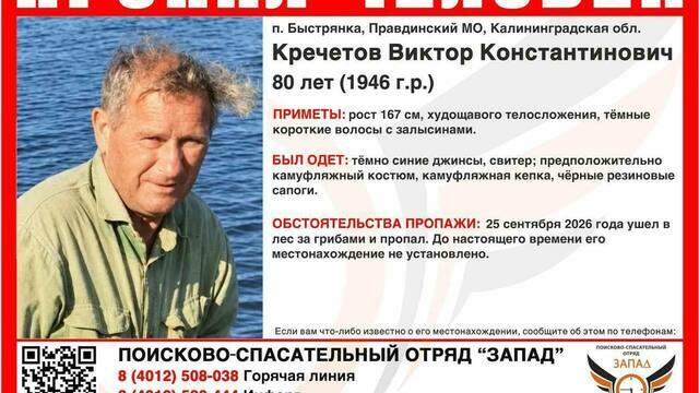 Родные пропавшего в Правдинском районе 80-летнего грибника просят помощи добровольцев   
