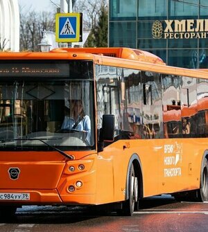 Штрафы не решают проблему с автобусами в Калининграде, но забрать маршруты у частников непросто — Дятлова