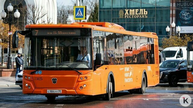 Штрафы не решают проблему с автобусами в Калининграде, но забрать маршруты у частников непросто — Дятлова
