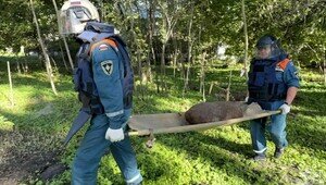 Эхо войны: в Балтийске нашли 100-килограммовую авиабомбу на приусадебном участке (фото, видео)