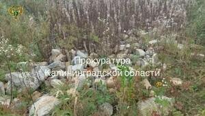 В Зеленоградском районе поля заказника завалили хламом и строительным мусором (видео)