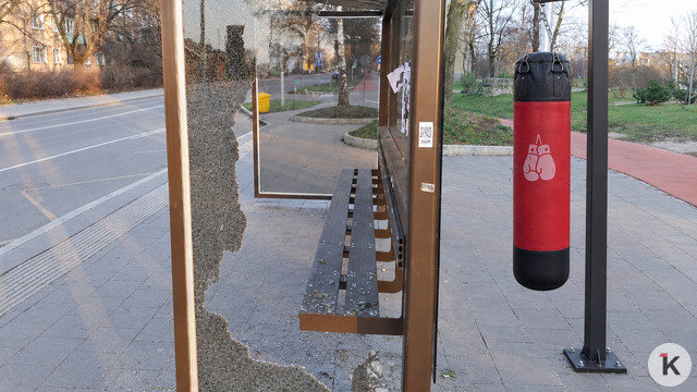«Где обещанные валидаторы?»: калининградцы снова жалуются на работу автобусов и толчею на остановках (видео)