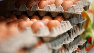 Яйца есть, а покупателей меньше: что происходит с рынком в Калининградской области 
