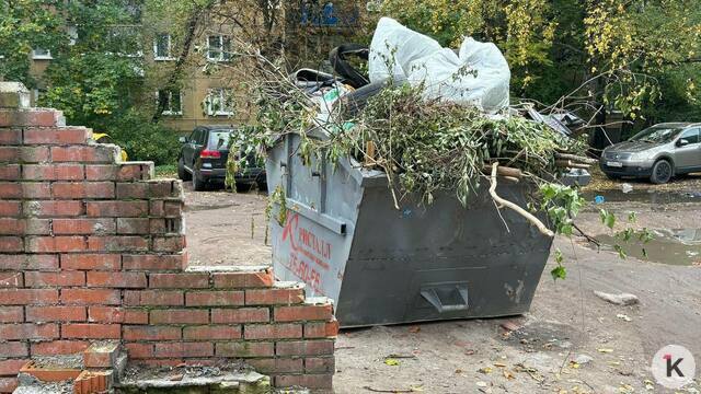 Арбузная лужа, мебельный склад и стеклянная ловушка: каким улицам Калининграда давно требуется уборка (фото)  