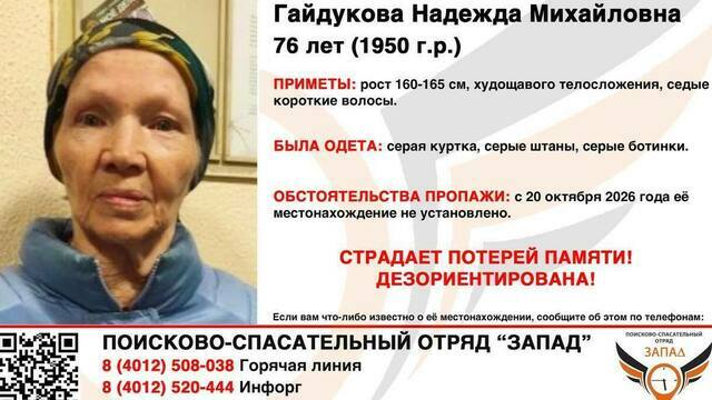 Стояла на Московском проспекте и говорила, что ей надо в Иркутск: в Калининграде почти сутки ищут 76-летнюю женщину  