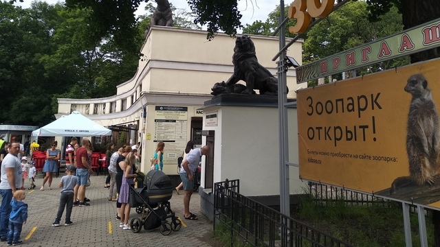 Рассказы, рисунки и видеофильмы: жюри определило победителей конкурса журнала «Маленькая Страна Калининград»