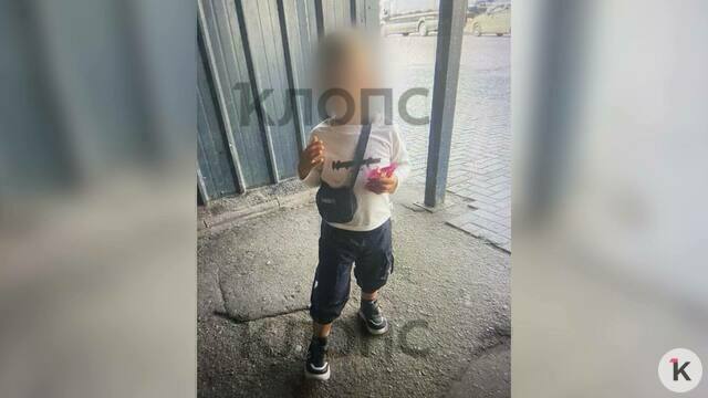 Рос без отца и оставался с неродной бабушкой: что известно о семье из Черняховского района, где погиб 4-летний мальчик  