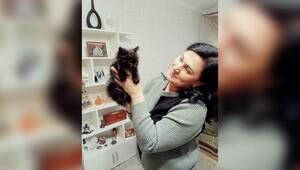 Дело Джони Мурлони закрыто: котёнка, спасённого полицейскими, забрала семья калининградцев (видео)  