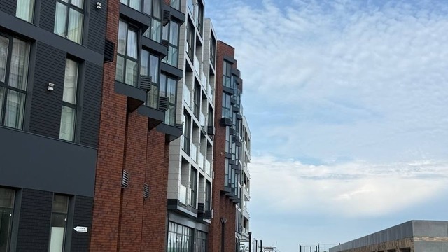 «Снести эти здания»: калининградский орнитолог — о гибели птиц в Зеленоградске и о том, почему проблема не решается  