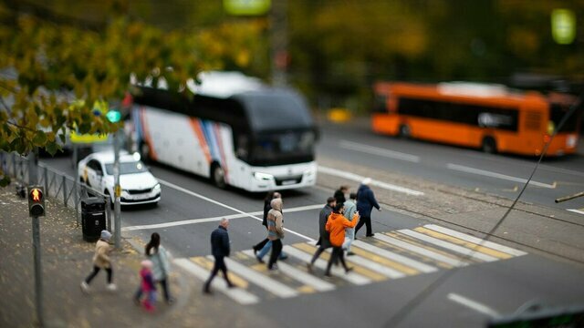 Город, как игрушка: заключительные аккорды золотой осени в Калининграде (фоторепортаж)  