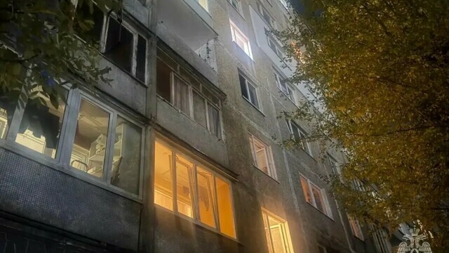 В Калининграде при пожаре в квартире погибли женщина и 20 кошек