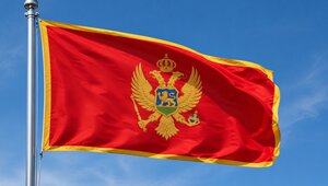 Россиянам назвали примерную стоимость визы в Черногорию