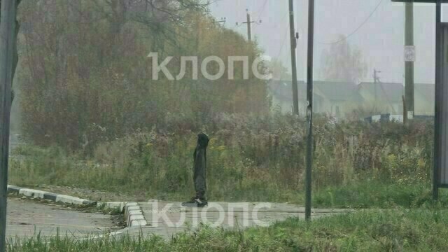 «Выглядит жутковато»: под Калининградом соорудили памятник пассажиру, растерявшему себя в ожидании автобуса (фото)