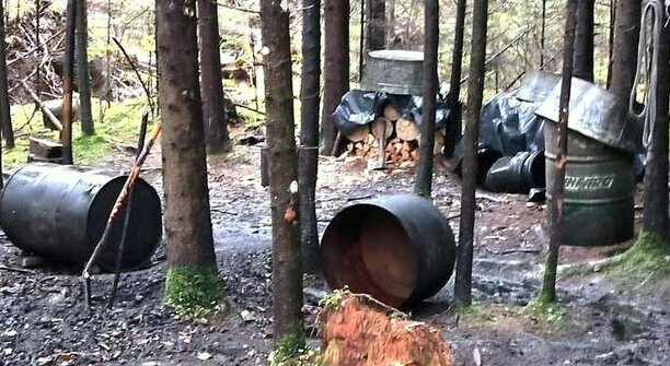 Из тазиков и палок: под Вильнюсом обнаружили самогонный лес