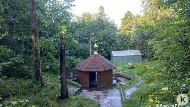 На популярных родниках в Калининградской области скапливается в воздухе опасный газ — экологи (фото)  