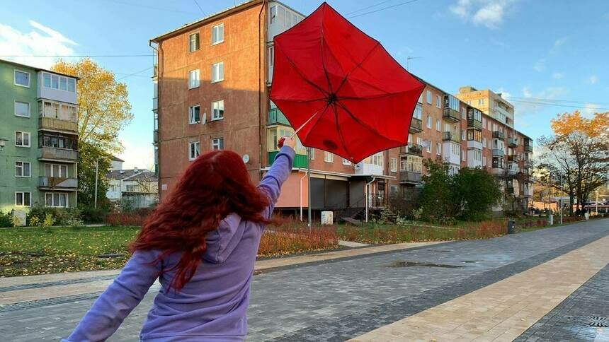 В Калининградской области в субботу с юго-запада задует так, что закроют городские парки - Новости Калининграда | Фото: Александр Подгорчук / Архив «Клопс»