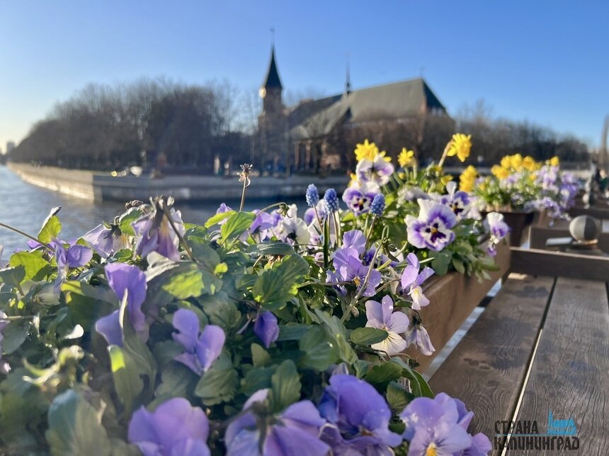 Спокойная солнечная погода уходит из Калининграда | Фото: Оксана Сазонова