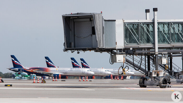 Газманов навсегда, литовское «нельзя» и авиаподарки для местных: события недели, которые обсуждали в Калининграде   - Новости Калининграда | Фото: Александр Подгорчук / Архив «Клопс»