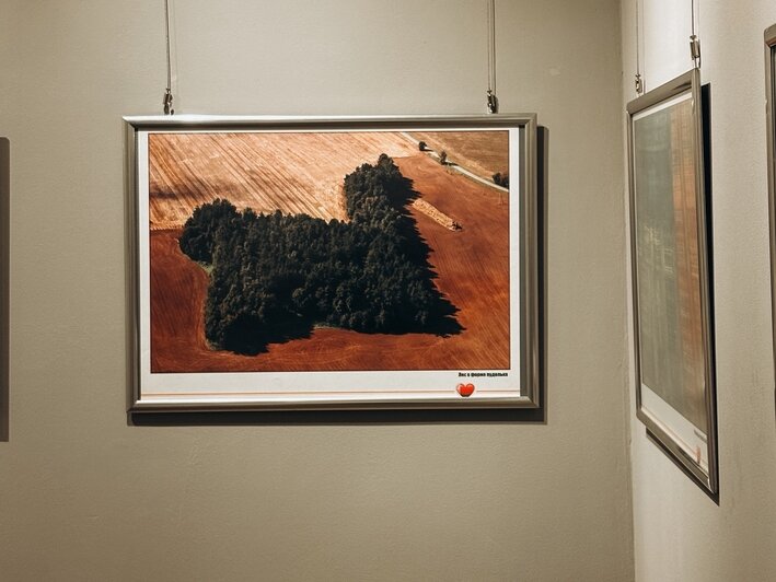 «Я влюблён в эту землю»: в Гусеве открылась выставка пейзажных снимков, сделанных с борта самолёта Ан-2 (фото) - Новости Калининграда | Фото: Гусевский историко-краеведческий музей имени А. М. Иванова