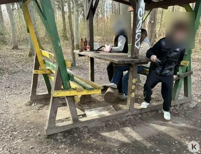 «Я только кричала: мама, отбегай!»: в Чкаловске подросток распылил перцовый баллончик в лицо двум женщинам   - Новости Калининграда | Фото: Наталья