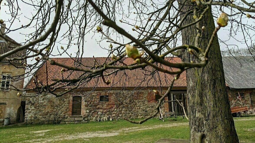Орден иглы и лекала: в замке Инстербург к началу мая починят дорожки, поставят скамейки и запустят швейную мастерскую - Новости Калининграда | Фото: архив «Клопс»