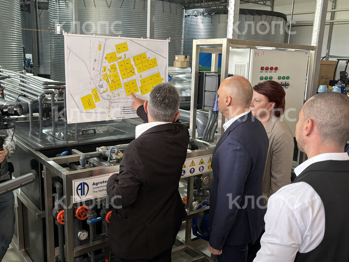 В Калининградской области на 5,3 га открылась теплица для выращивания помидоров и баклажанов (фото)   - Новости Калининграда | Фото: София Сафронова / «Клопс»