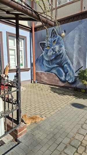 Туристов с Крайнего Севера в Калининграде удивили деревья с зелёными шариками, мороженое с рыбой и янтарные тараканы - Новости Калининграда | Фото: личный архив героинь публикации