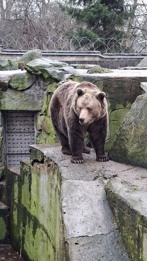 Туристов с Крайнего Севера в Калининграде удивили деревья с зелёными шариками, мороженое с рыбой и янтарные тараканы - Новости Калининграда | Фото: личный архив героинь публикации