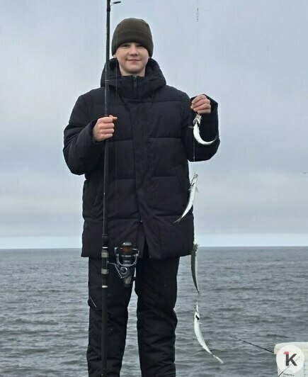 В Балтийске салаку можно с берега ловить руками — путина стартовала (видео)   - Новости Калининграда | Фото: Андрей