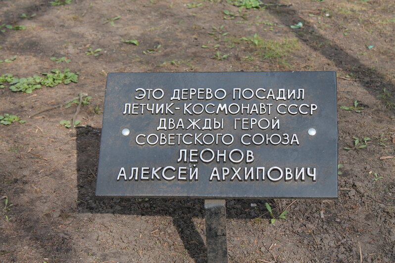 Первый универмаг, первый банк и первый калининградский анекдот: чем может удивить прогулка по проспекту Мира (фото) - Новости Калининграда | А.Михайлова