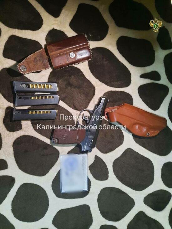Калининградец устроил стрельбу на Портовой: дело направили в суд - Новости Калининграда | Фото: прокуратура Калининградской области