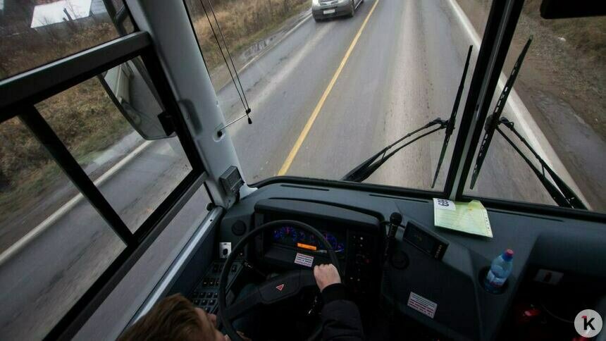 Рольбинов объяснил, из-за чего многие автобусные маршруты на востоке Калининградской области стали нерентабельными - Новости Калининграда | Фото: Александр Подгорчук / Архив «Клопс»