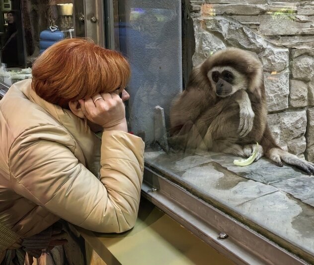 Туристов с Крайнего Севера в Калининграде удивили деревья с зелёными шариками, мороженое с рыбой и янтарные тараканы - Новости Калининграда | Фото: личный архив героинь публикации