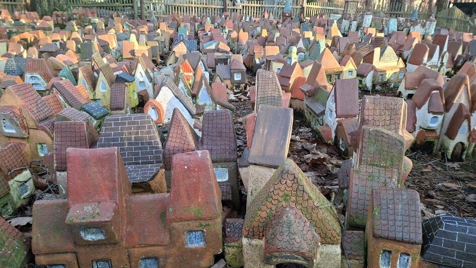 Туристов с Крайнего Севера в Калининграде удивили деревья с зелёными шариками, мороженое с рыбой и янтарные тараканы - Новости Калининграда | Фото: личный архив героинь публикации